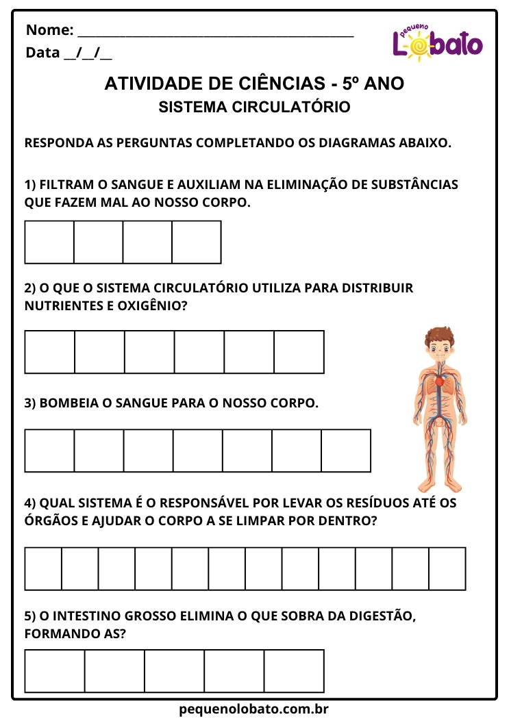 Atividade de Ciências 5º ano sobre Sistema Circulatório EF05CI07