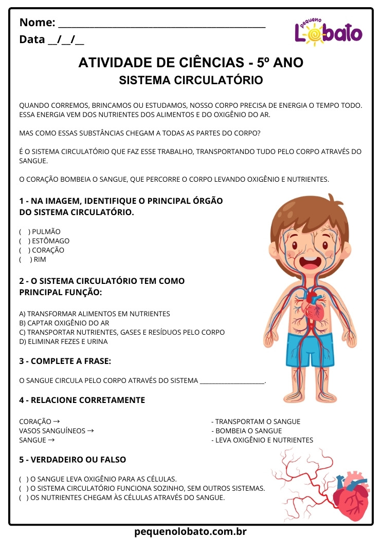 Atividade de Ciências 5º ano sobre Sistema Circulatório para Imprimir EF05CI07