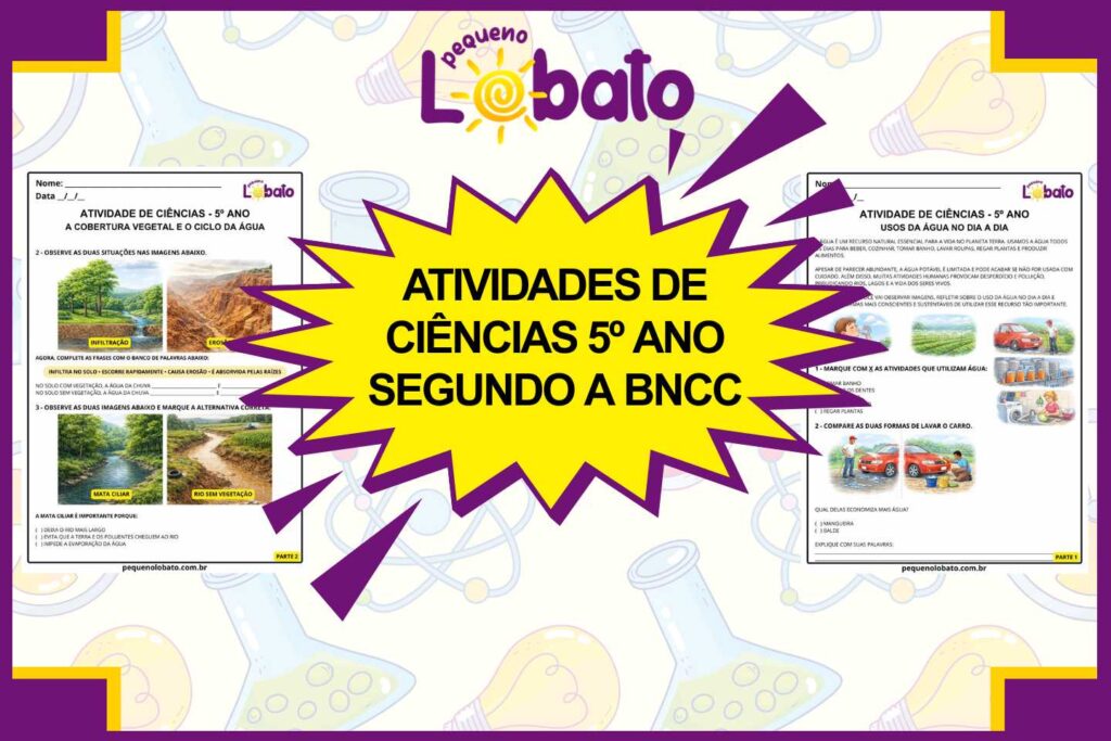Atividades de Ciências 5º Ano segundo a BNCC para Imprimir