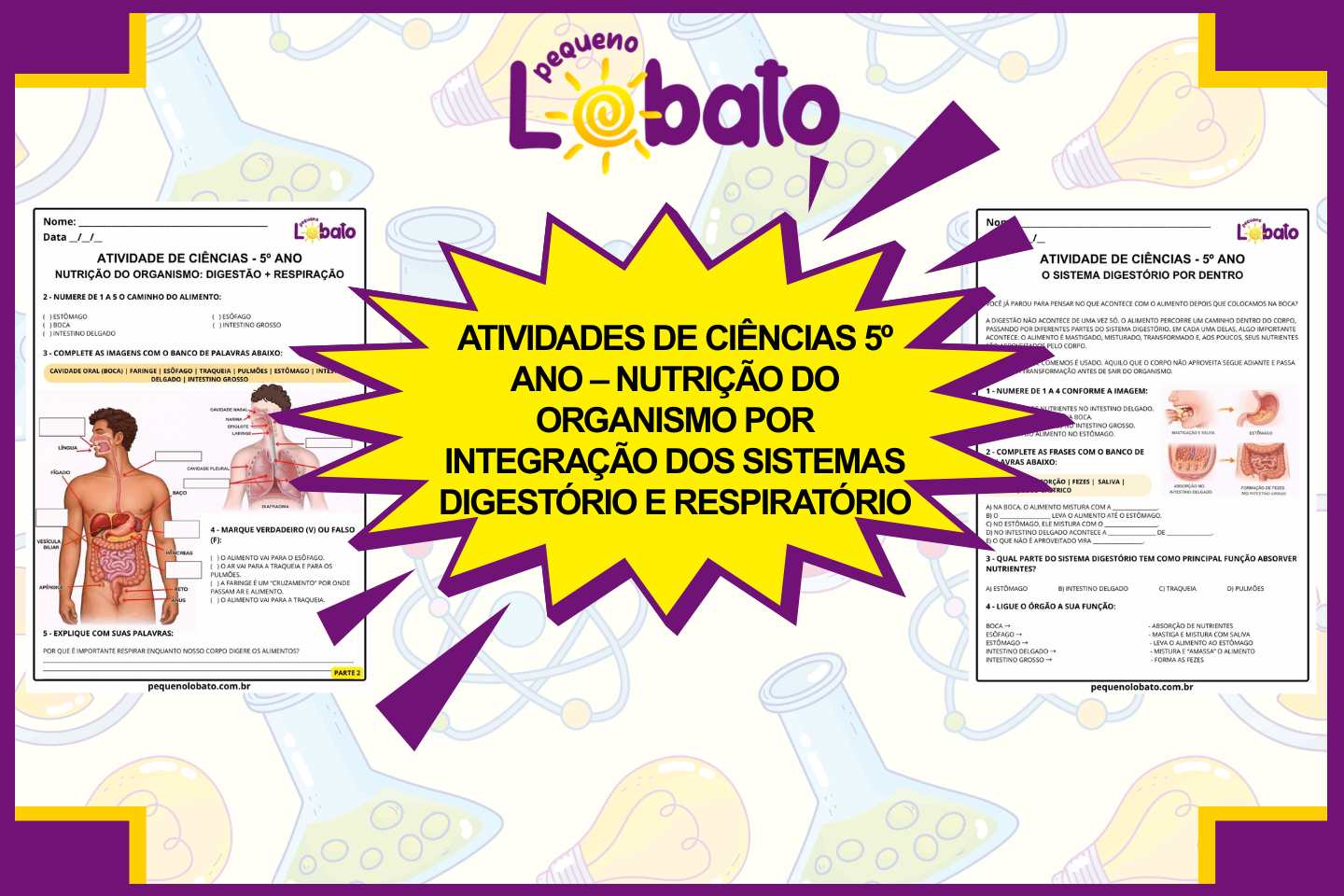Atividades de Ciências 5º Ano – Nutrição do Organismo por Integração dos Sistemas Digestório e Respiratório segundo a BNCC
