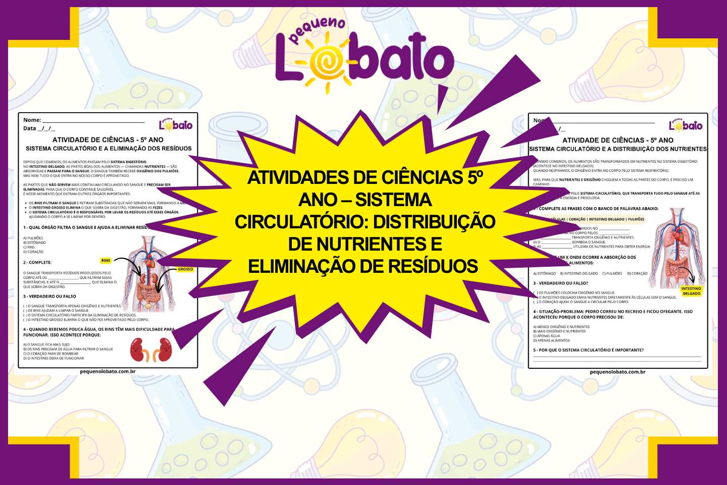 Atividades de Ciências 5º Ano – Sistema Circulatório Distribuição de Nutrientes e Eliminação de Resíduos segundo a BNCC