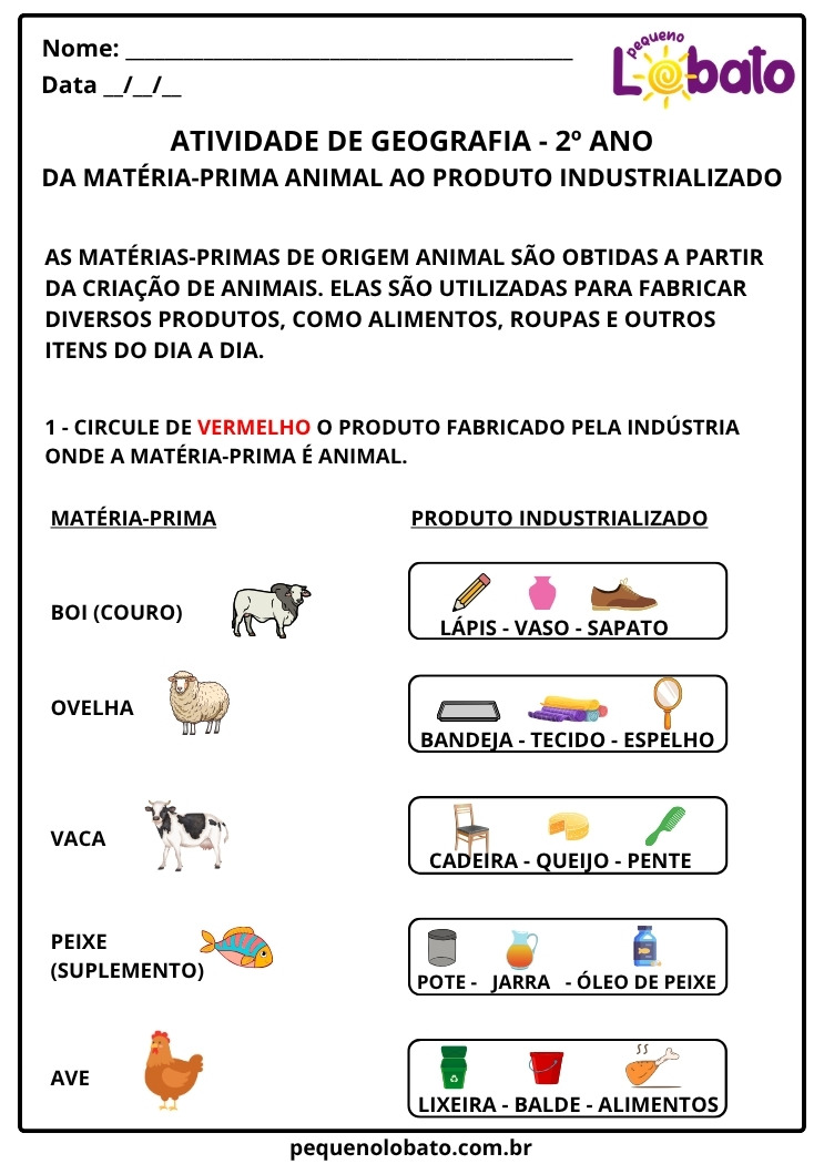 Atividade de Geografia 2º ano Da Matéria-Prima Animal ao Produto Industrializado