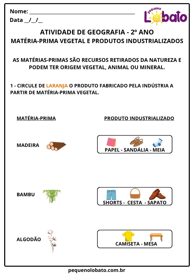 Atividade de Geografia 2º ano – Transformação da Matéria-Prima Vegetal em Produtos Industrializados