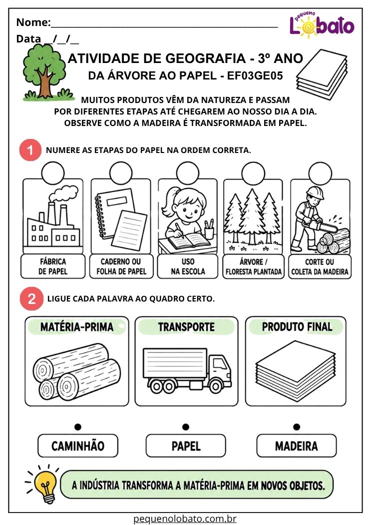 Atividade de Geografia 3º Ano - Da Árvore ao Papel para Conhecer Matéria-Prima, Transporte e Produto Final - EF03GE05