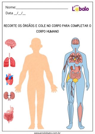 Atividade Lúdica de Ciências com Corpo Humano para Imprimir