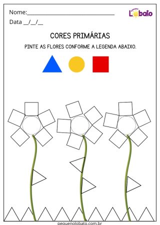 Atividade com Cores para Alunos com Síndrome de Down