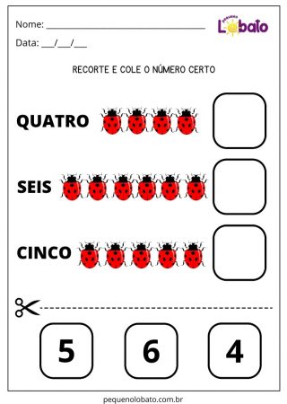 Atividade com Números e Quantidades para Alunos com TOD