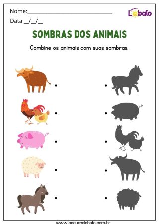 Atividade com Sombras dos Animais para Crianças com Deficiência Intelectual