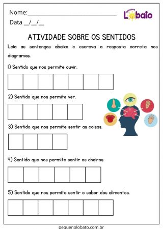 Atividade de Ciências 3 Ano Ensino Fundamental Sentidos para Imprimir