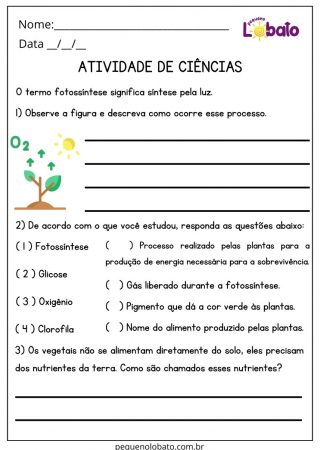 Atividade de Ciências 4 Ano Ensino Fundamental Fotossíntese para Imprimir