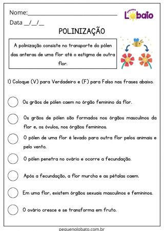 Atividade de Ciências 4 Ano Ensino Fundamental Polinização para Imprimir