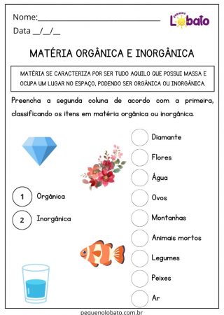 Atividade de Ciências Matéria Orgânica e Inorgânica para Imprimir