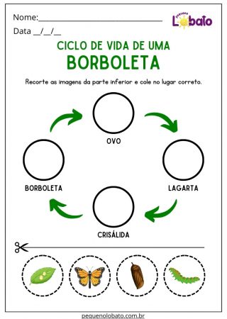 Atividade de Ciências com Borboleta e Recorte e Colagem para Imprimir