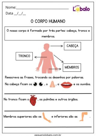 Atividade de Ciências com o Corpo Humano para Imprimir