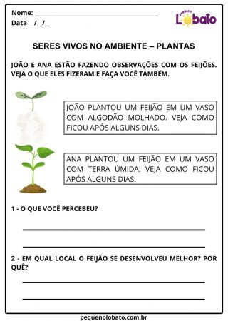 Atividades de Ciências 2º Ano do Ensino Fundamental alinhadas à BNCC ...
