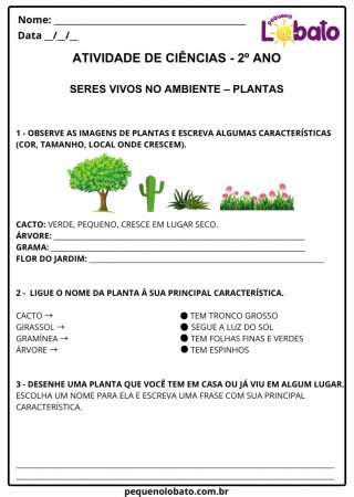 Atividades de Ciências 2º Ano do Ensino Fundamental alinhadas à BNCC ...