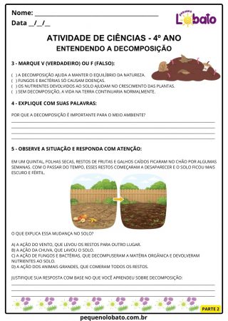 Atividade de ciências 4º ano decomposição e sua importância ambiental