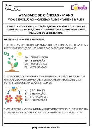 Atividades de Ciências 4º Ano do Ensino Fundamental alinhadas à BNCC ...