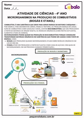 Atividade de ciências 4º ano vida e evolução microrganismos na produção de combustíveis