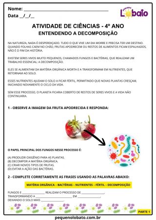 Atividade de ciências 4º ano vida e evolução sobre decomposição