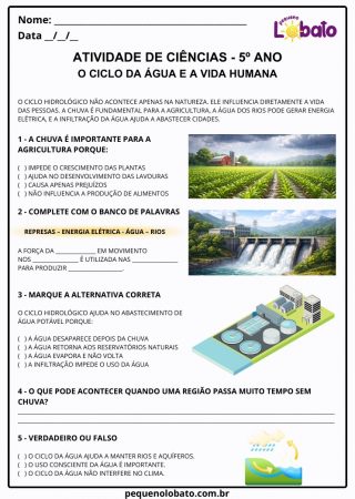 Atividade de ciências 5º ano ciclo da água e a vida humana para imprimir