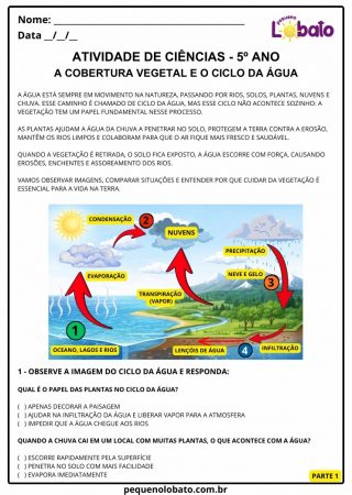 Atividade de ciências 5º ano ciclo hidrológico evaporação, condensação, precipitação e infiltração para imprimir