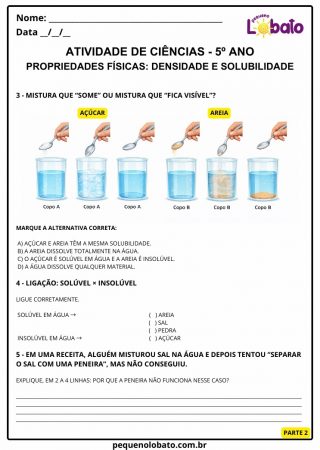 Atividade de ciências 5º ano propriedades físicas dos materiais densidade e solubilidade para imprimir