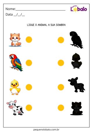 Atividade para Educação Especial com Sombra de Animais