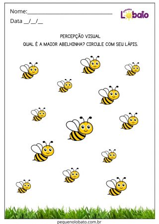 Atividade para Síndrome de Down de Percepção Visual