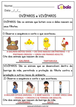 Atividades de Ciências para o 1 Ano do Ensino Fundamental Com Respostas sobre Animais Ovíparos e Vivíparos