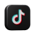 Tik Tok Pequeno Lobato